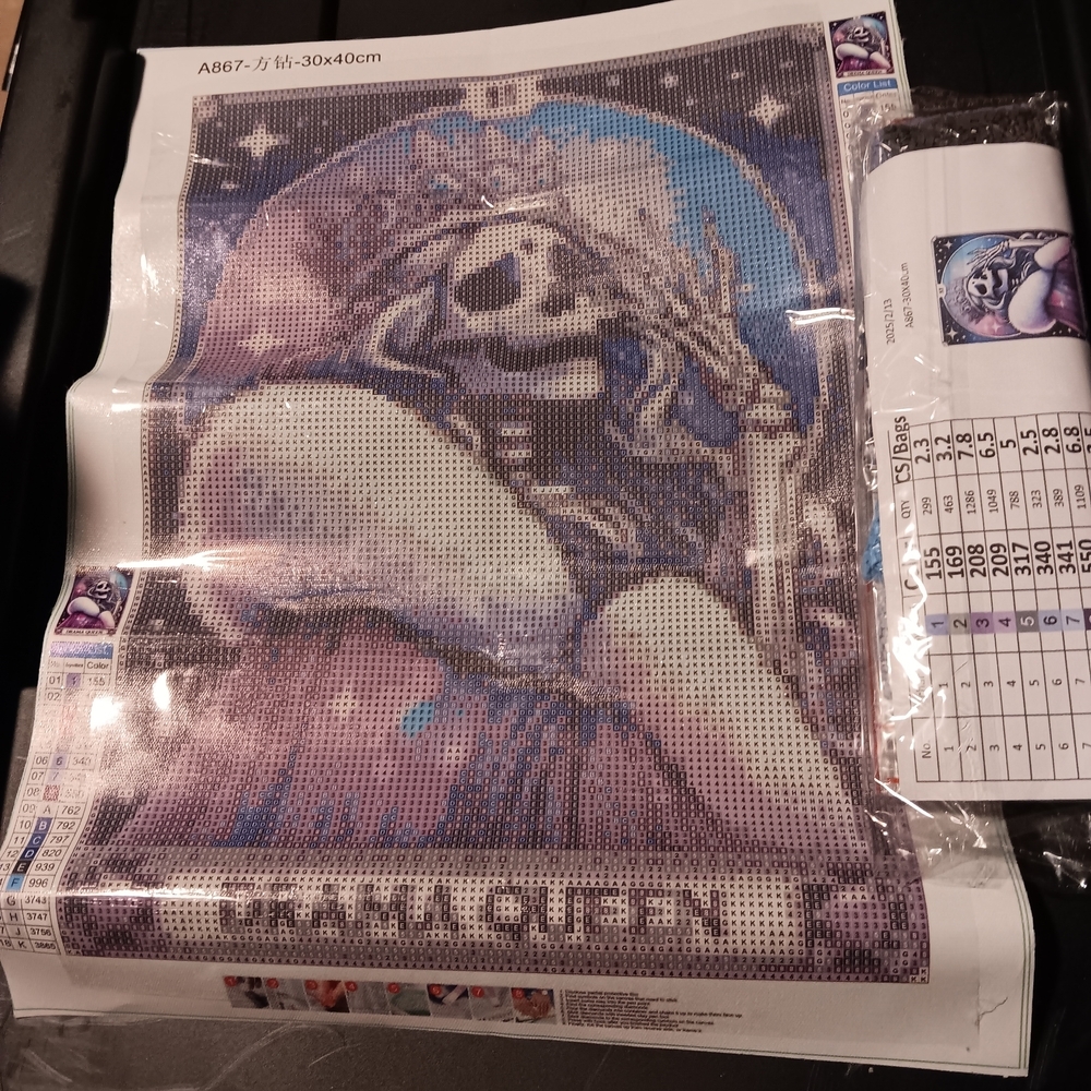 Tarot Card Skull Queen Diamond Painting Kit 30x40